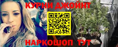 ALPHA PVP Нальчик