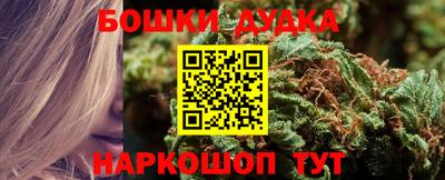 ALPHA PVP Нальчик