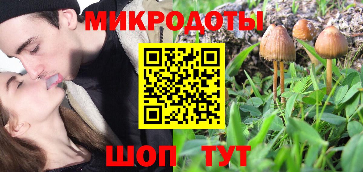 Псилоцибиновые грибы Psilocybine cubensis Ухта